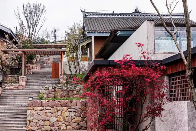 图片24