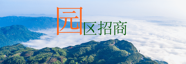 图片42