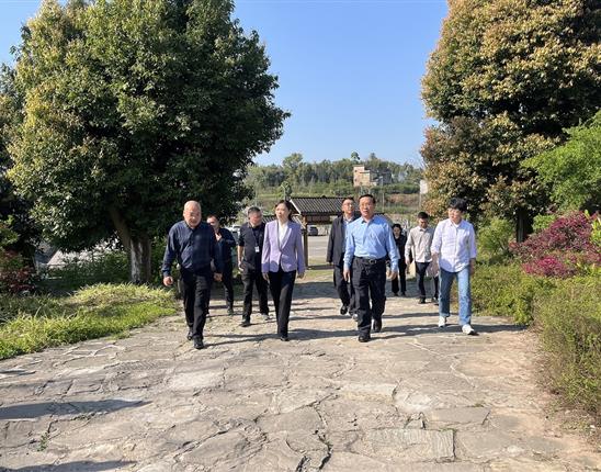 泸州市副市长罗素平率队赴龙卦山园区督导安全环保及森林防火工作